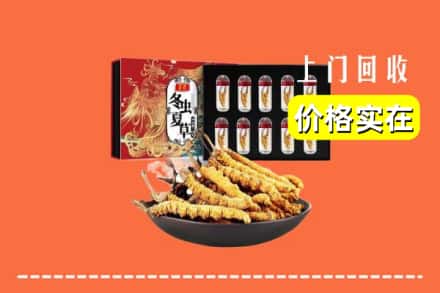 原平市回收冬虫夏草